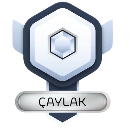 Çaylak